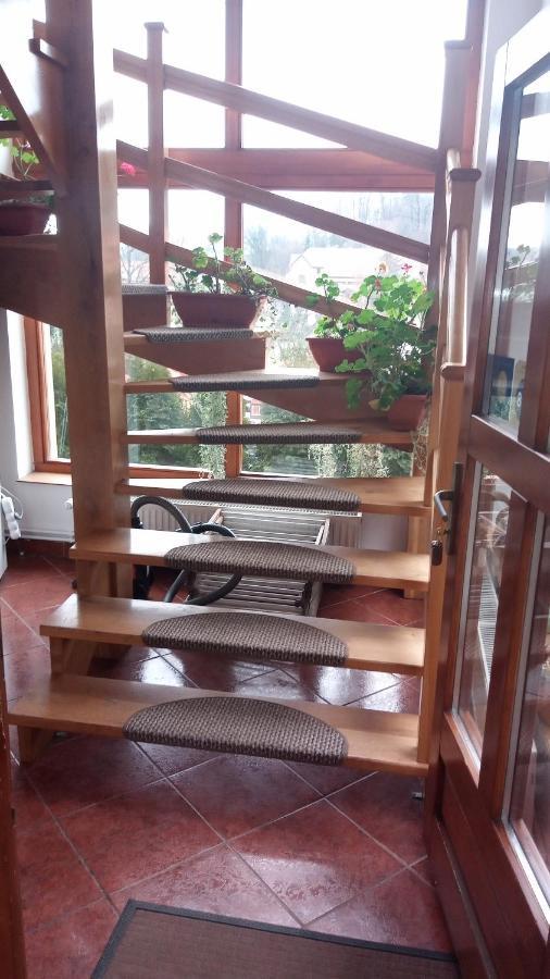Hotel Casa Dora Sovata Esterno foto